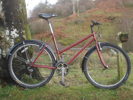 Edinburgh Cycles Contour 200 mountain - for sale